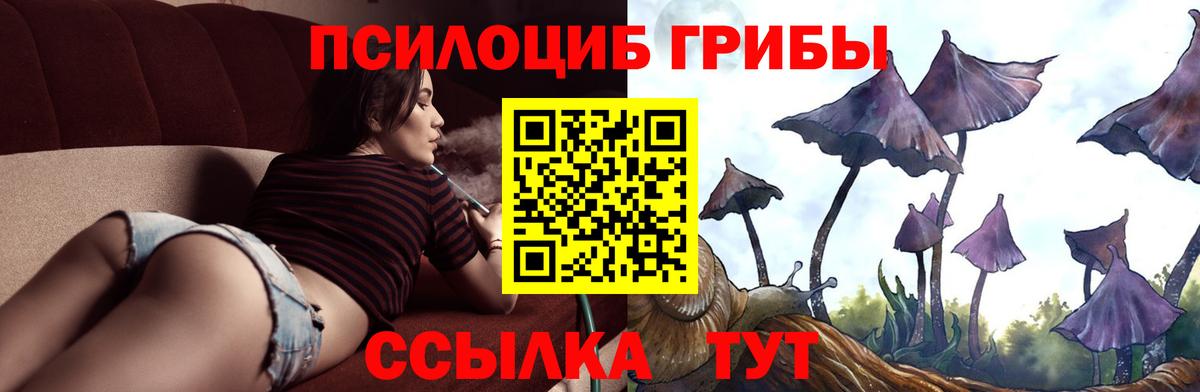 Ярославль  Галлюциногенные грибы Cubensis  Вход с VPN 